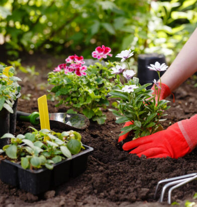 Garden-Maintenance-&-Clean-Up-Service