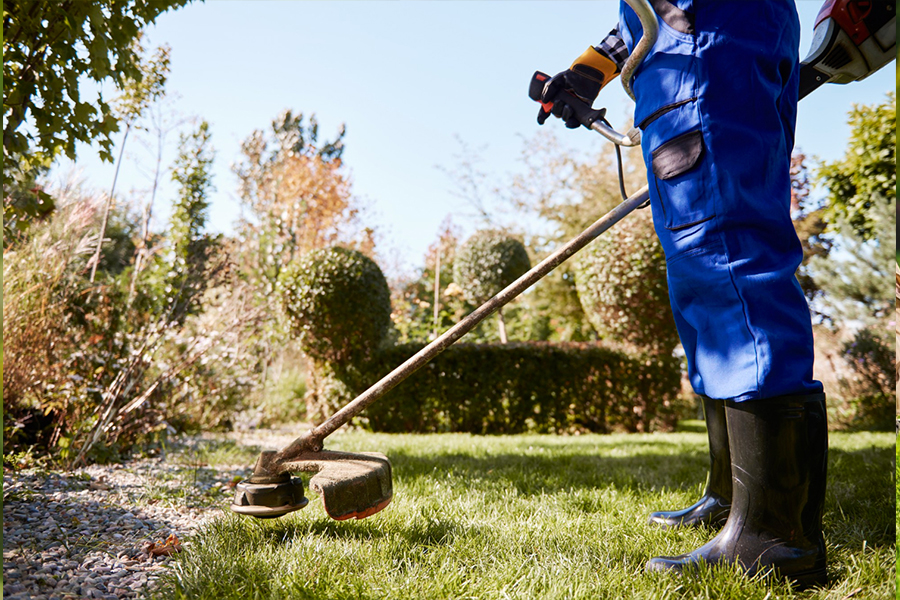 Garden-Maintenance-&-Clean-up-Services-01