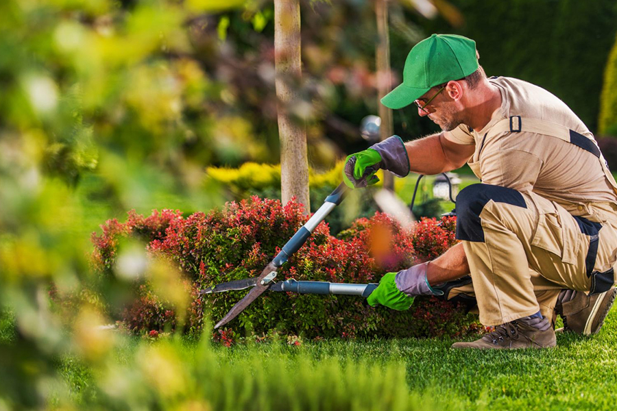 Garden-Maintenance-&-Clean-up-Services--02
