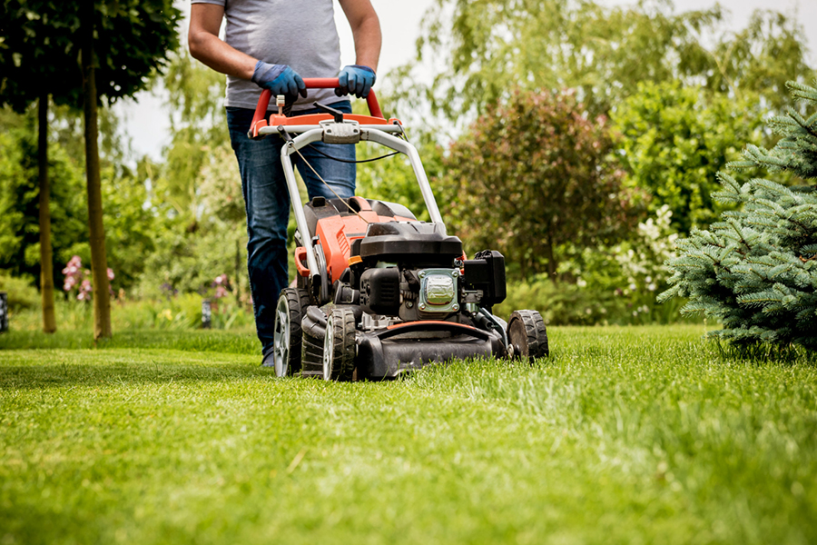 Lawn-Mowing-service-02