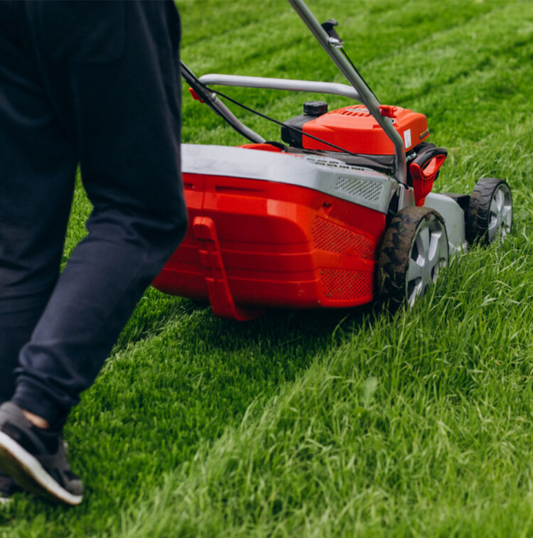 Lawn-Mowingservice-Featured-image