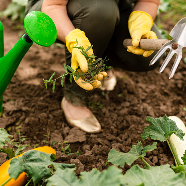 Mulching-Services--01