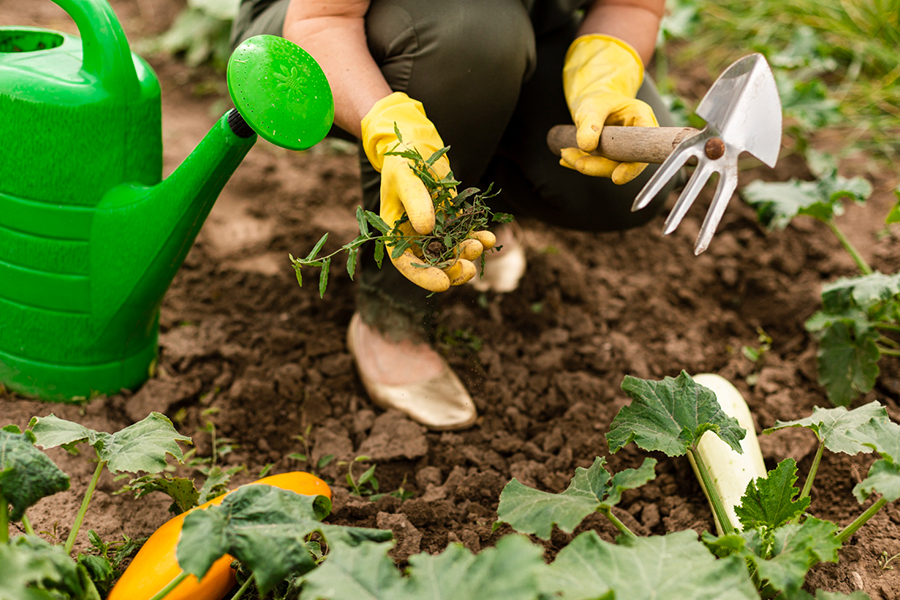 Mulching-Services--01