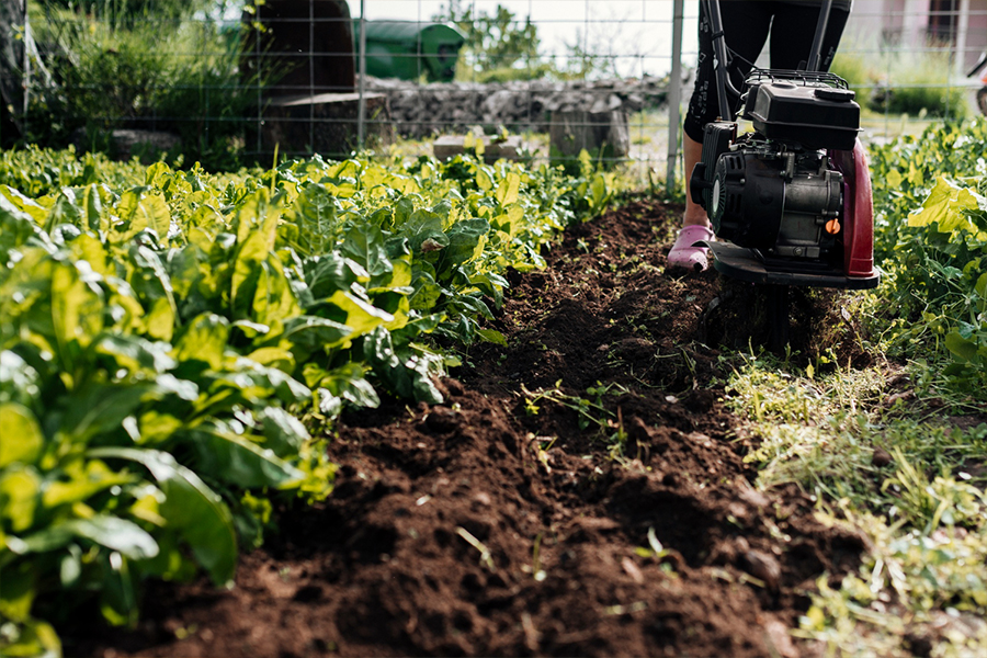 Mulching-Services-02