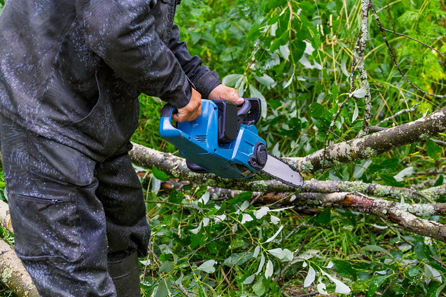 Planting-Tree-Cutting-&-Felling-Services-02