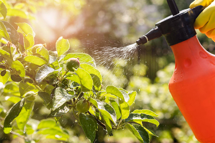 Weed-Spray-Services--02