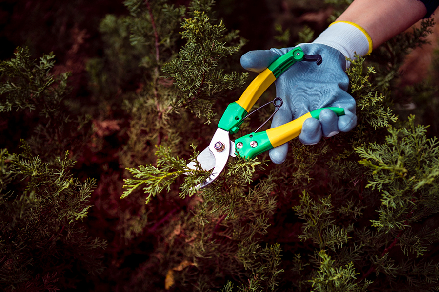 Weeding-Services-01