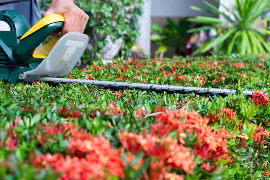 Commercial-&-Contract-Gardening-Services-02