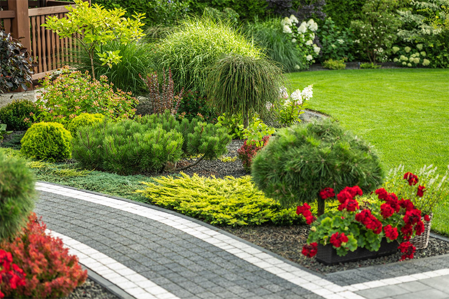 Garden-Landscaping-service-01