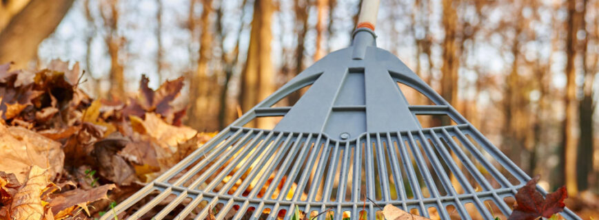 Garden Maintenance & Clean Up Services in Bacchus Marsh