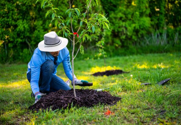 Mulching Services near me