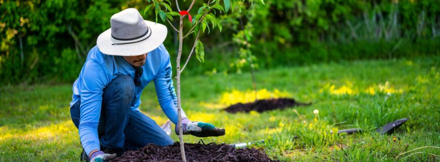 Mulching Services near me