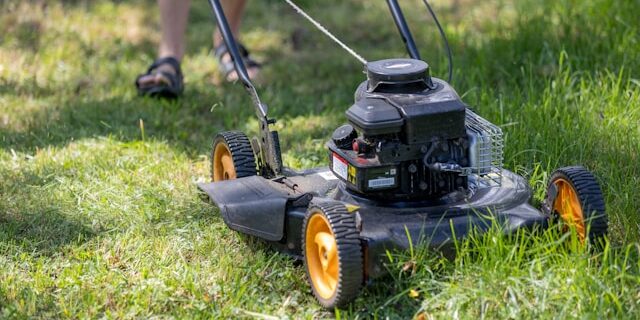 carl-tronders-YhxOrHGrQQc-unsplash Grass Cutting Service in Bacchus Marsh
