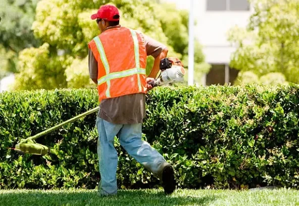 mowing services Bacchus Marsh