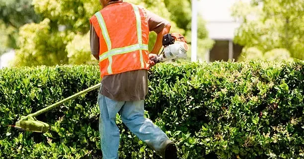 mowing services Bacchus Marsh