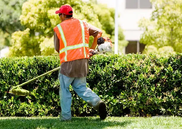 mowing services Bacchus Marsh