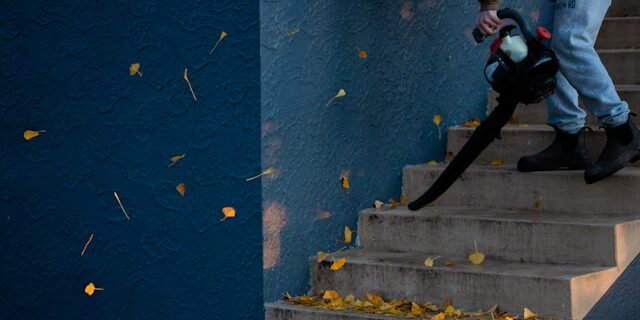 Gutter cleaning services near me