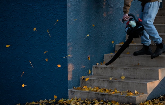 Gutter cleaning services near me