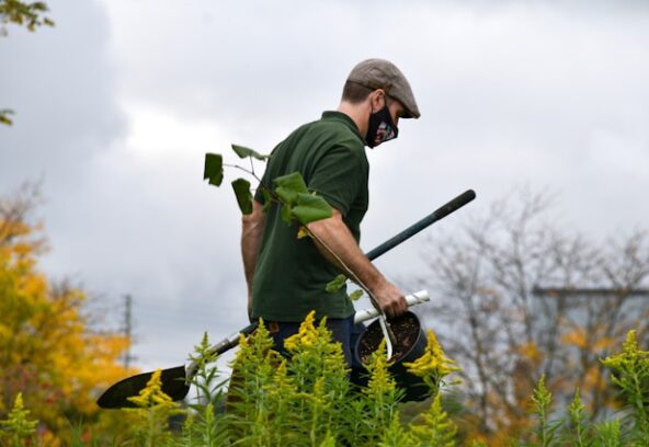 NDIS Gardener services Near me Melton