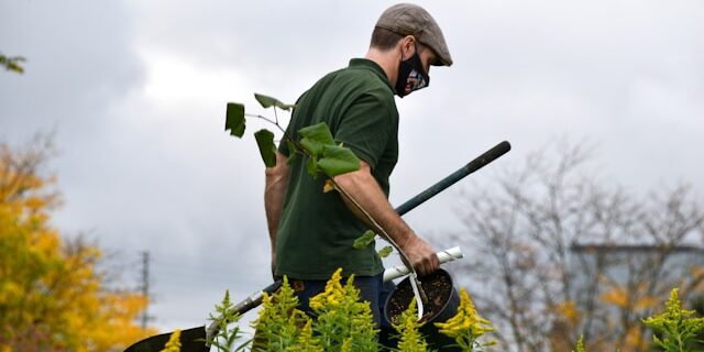 NDIS Gardener services Near me Melton