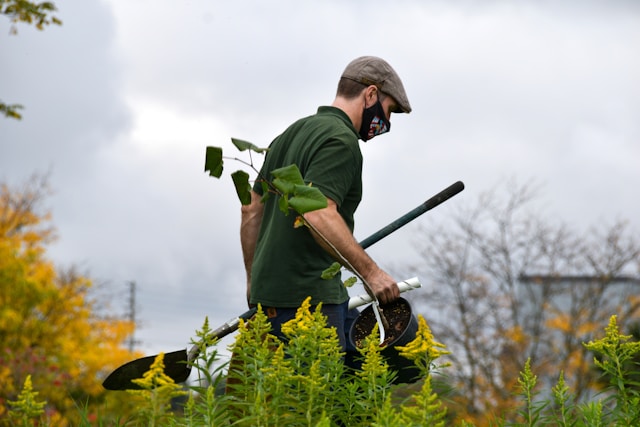 commercial Contract Gardening Services near me commercial Contract Gardening Services near me