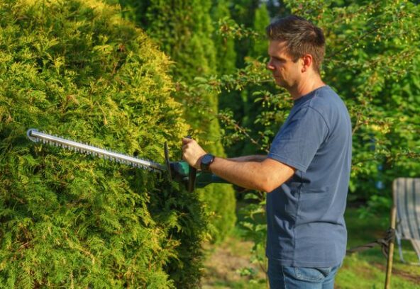 Hedge trimming service in Bacchus Marsh