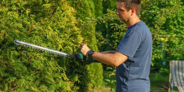 Hedge trimming service in Bacchus Marsh