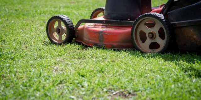 Acreage Ride On Mowing Services in Bacchus Marsh