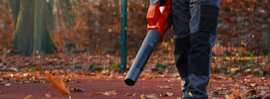 Gutter cleaning Bacchus Marsh