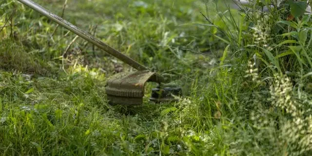 Garden Landscaping in Caroline Springs