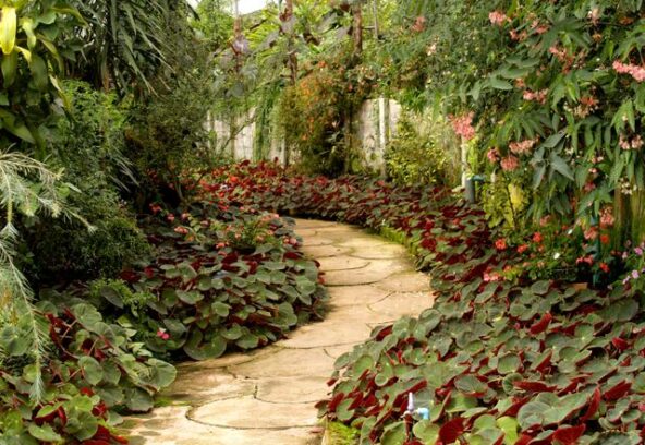 Garden Landscaping in Melton